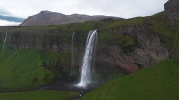 seljalandsfoss cascata cascate a partire dal un' alto scogliera nel Islanda, circondato di verde terreno. visitatori camminare lungo un' sentiero, con nebbia e nuvole nel movimento. video