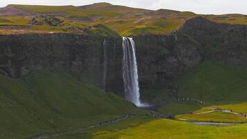 Aerial view of Seljalandsfoss waterfall in Iceland, cascading into a pool. Visitors walk along a path amid lush green fields and rugged terrain. video