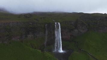 antenn se av Seljalandsfoss vattenfall i Island, med vatten strömmande kraftigt från en lång klippa, dimma på de bas, och en oländig berg bakgrund. video