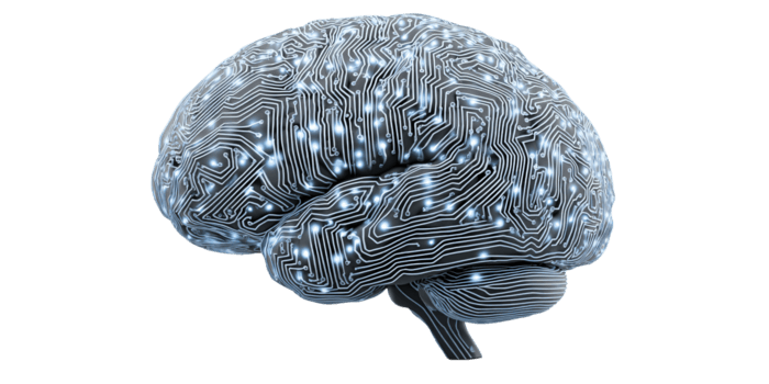 artificiale intelligenza cervello con circuito tavola modello, simboleggiante macchina apprendimento e neurale Rete concetto di futuro tecnologia, innovazione, e conoscitivo scienza png