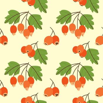 Seamless pattern with hawthorn berries on a light background vector