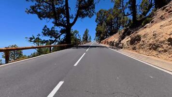 The breathtaking view of a winding mountain road is lined with trees, all under a stunning clear blue sky above photo