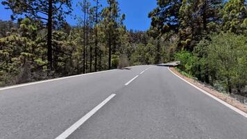 A picturesque winding road, surrounded by gorgeous vibrant greenery and breathtakingly stunning blue skies above photo