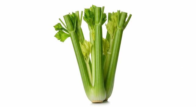 Fresh green celery bunch with stalks and leaves isolated on a white background. photo