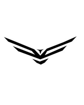 Geometric abstract wings symbol with sharp lines and layered shapes, representing freedom, strength, and speed. Perfect for logos, tattoos, or modern graphic design. vector