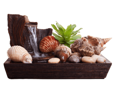 lugn bordsskiva fontän terar mild vatten flöde, omgiven förbi olika snäckskal och slät småsten, skapande lugnande atmosfär perfekt för avslappning png