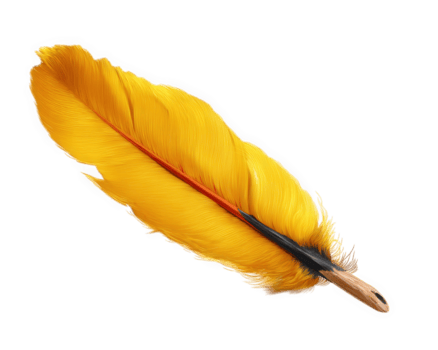 vivace giallo piuma con liscio struttura e naturale curva, in mostra suo intricato dettagli e morbido aspetto esteriore. Questo piuma Aggiunge toccare di eleganza e colore per qualunque design o progetto png