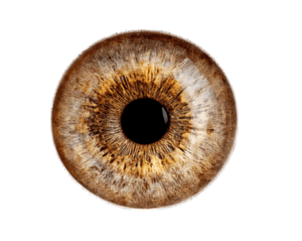Detailed close up of brown eye showcasing intricate patterns and textures, emphasizing unique beauty of iris and pupil. image captures natural colors and features, evoking sense of wonder png