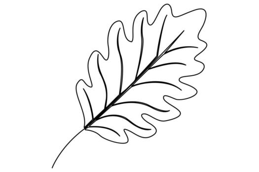 minimalista continuo línea dibujo hoja soltero línea icono contorno en blanco antecedentes vector