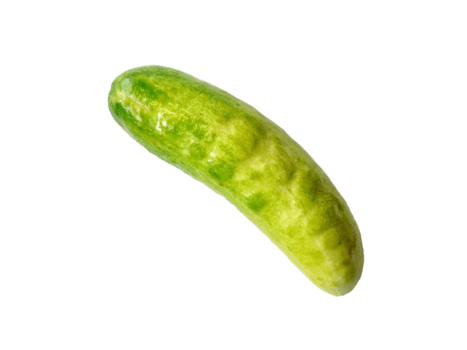 Fresh cucumber isolated on transparent background High-resolution image of a single green cucumber with natural texture and shine, ideal for food, agriculture, and healthy lifestyle concepts png
