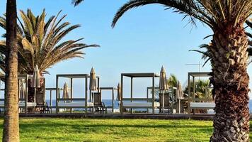 tänka strandnära badhytter under handflatan träd, skapande de perfekt atmosfär för avslappning och sommar vibrafon video