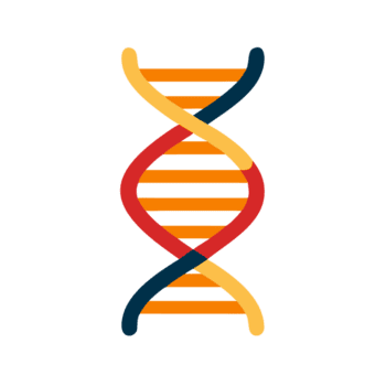 hélix structure moléculaire génétique code isolé sur une transparent Contexte image png