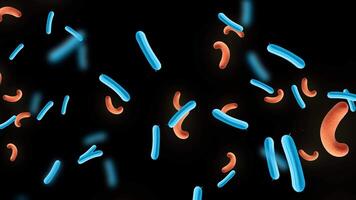 Dynamic Microorganisms A Journey into the Microscopic World of Bacteria and Viruses,Abstract Blue and Orange Microbes Gut Health, Infection, Biological Study,Microscopic View of Rod Cocci Bacteria video