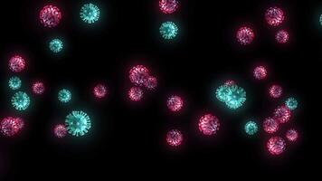 dynamisk 3d framställa flytande röd och kricka virus partiklar på svart bakgrund, 3d framställa av fluorescerande bakterier patogen spridning, hälsa kris koncept, livfullt mikroorganismer isolerat på svart biologisk video