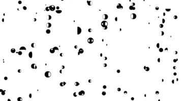 astratto nero e bianca galleggiante sfere e metà cerchi movimento grafica ciclo continuo su bianca sfondo, monocromatico caotico cerchi grunge astratto consistenza, sparsa nero sfere sfere moderno design elem video
