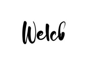 caligrafia combinado com a tinta solta cria uma bem-vinda mensagem simplesmente mostrando negrito Preto roteiro arte. video