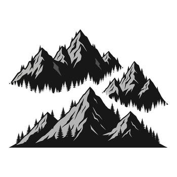 Art of collection of various bicycle types and styles isolated on white background vector