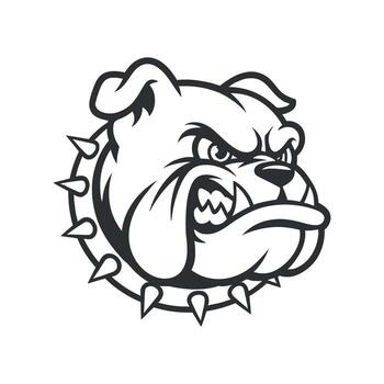 Aggressive Bulldog Head with Spiked Collar Illustration for Mascot Logo or Sport Team Emblem and Graphic Design Projects vector