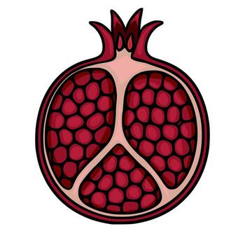 A stylized illustration of a pomegranate cross-section, showcasing a unique pattern of crimson seeds arranged in a visually appealing manner against a dark background. vector