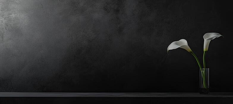 Two white calla lilies in a clear vase against a dark textured background photo