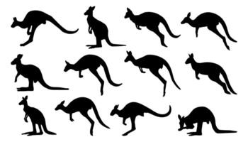 colección de siluetas de canguro vector