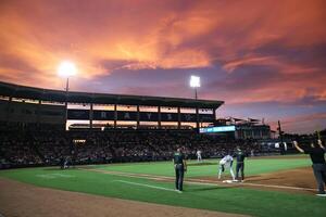 Los Angeles Dodgers at Tampa Bay Rays