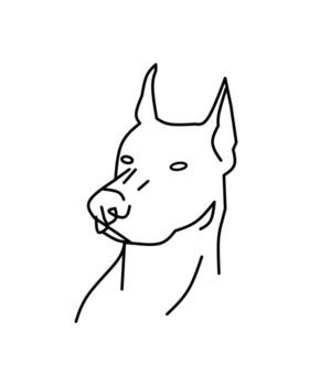 un minimalista línea Arte dibujo de un caballero perro cabeza con agudo orejas y definido características, enfatizando fuerza y elegancia en un sencillo describir. vector