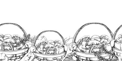cestas lleno de escogido hongos, otoño bosque cosecha de bolete russula gorra web tapa de leche hongos con cola de caballo planta tallos, césped cuchillas sin costura bandera encabezamiento envoltura mano dibujado en tinta. vector