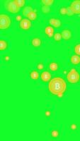 fallen Bitcoin auf Grün Bildschirm. Vertikale Animation video