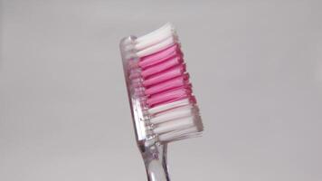 un' dettagliato Visualizza di un' rosa e bianca spazzolino con un' chiaro maniglia su un' morbido sfondo. spazzolino su isolato sfondo video