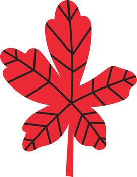 Red autumn leaf with black veins standing out against a white background. Creating a striking contrast and highlighting the intricate details of the leaf's structure. Ideal for nature themed designs vector
