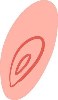 Minimalist pink oval featuring dynamic red curved lines, creating an abstract pattern that embodies modern art and organic design, exuding elegance and contemporary style vector
