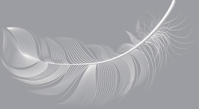 blanco pluma flotante en contra un gris fondo, presentando delicado líneas ese evocar ligereza, blandura, y pureza, Perfecto para naturaleza inspirado diseños vector