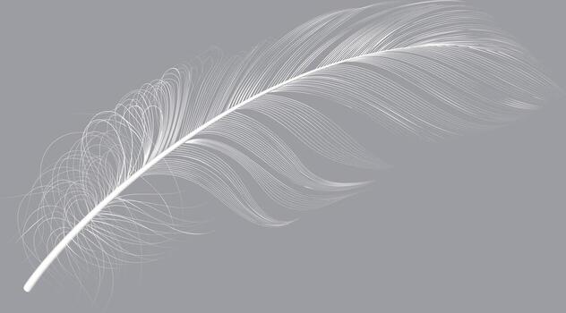 Single white feather floating on a gray background, creating a delicate and elegant composition, ideal for backgrounds, textures, and design elements vector