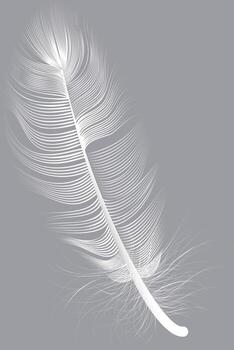White feather drifting gracefully against a soft gray background, embodying lightness, softness, purity, and hope. Perfect for creating serene backgrounds and textured designs vector