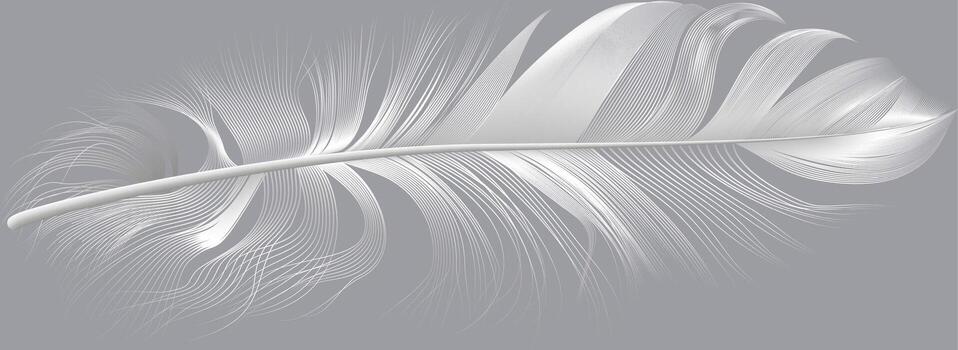 Elegant white feather with delicate, intricate details, gracefully floating against a neutral gray backdrop, creating a serene and minimalist composition vector