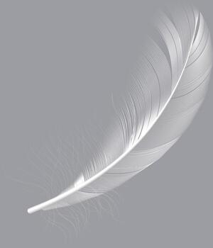 Realistic white feather floating gracefully against a soft gray background, evoking a sense of serenity and minimalist elegance in a tranquil composition vector