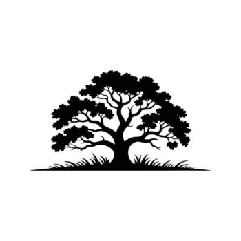 Silhouette tree stands over tall grass on a white background adding dramatic nature vector