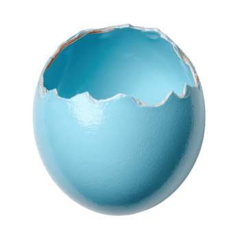 leggero blu guscio d'uovo frammento con strutturato superficie e irregolare bordo png