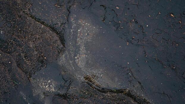 Top view no 5 of dark black and brown stone slabs. Different patterns create beauty. Wet surface. For background and textured. photo