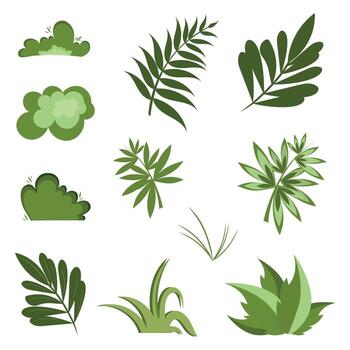 A set of grass. Bundles of grass, a green leaf. A pattern of leaves on a white background. vector