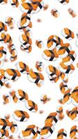 Salmon sushi pieces cascade in a mesmerizing, rhythmic animation against a clean white background, creating a playful and dynamic visual experience video