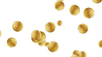 Golden Cardano coins cascade against a white background, creating a dynamic and visually engaging animation with smooth transitions video
