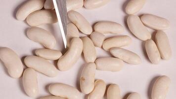 närbild undersökning av vit böna frön med en skalpell på en neutral bakgrund, highlighting textur och precision video