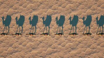 3d rendere. cammello caravan passeggiate attraverso il deserto getto un' ombra, superiore Visualizza. video