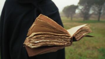 Anonymous Man Reads Esoteric Scripture Book In A Foggy Park video