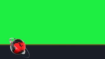 globo inferiore terzo animazione con verde schermo per notizia trasmissione e presentazioni uso, notizia grafica con verde schermo animazione video