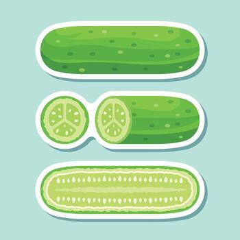 Cucumber slices and slices of cucumbers in different shapes vector