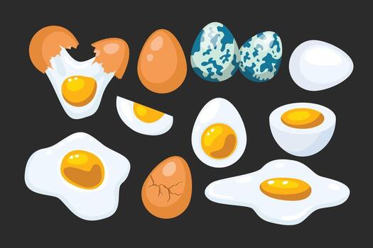 Set of fresh and boiled eggs set collection of whole eggs, broken eggs, fried, yolks, quail, crack open egg, eggshells, sunny side, and boiled eggs isolated on black background. vector