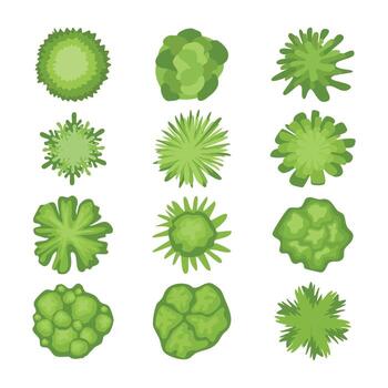 Set of Tree top view set collection, isolated on white background for landscape plan and architecture layout drawing, elements for architectural, environment and garden, Nature green spaces. vector